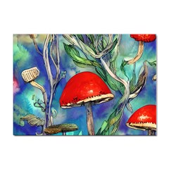 Woodsy Mushroom Forest Foraging Sticker A4 (10 Pack) by GardenOfOphir