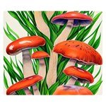 Fairycore Forest Mushroom One Side Premium Plush Fleece Blanket (Small) 50 x40  Blanket Front