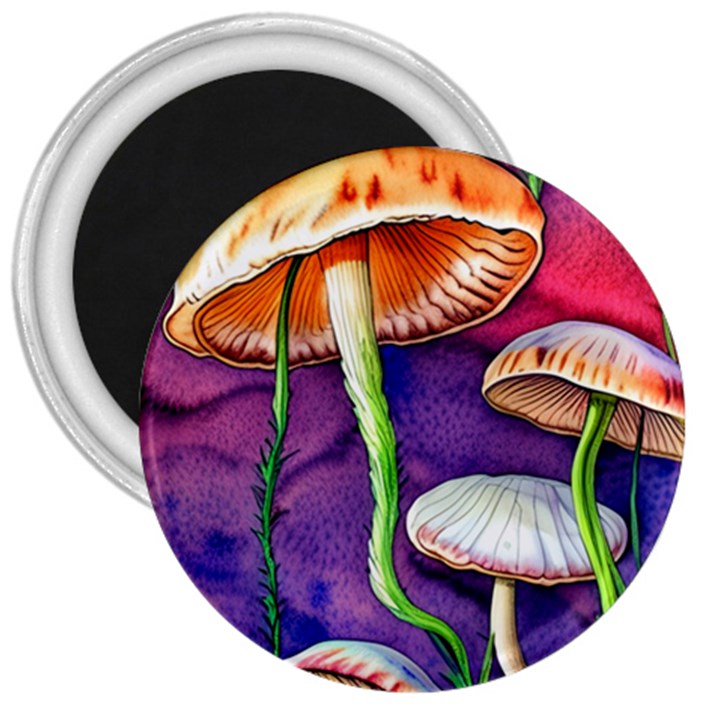 Foraging Mushroom Garden 3  Magnets