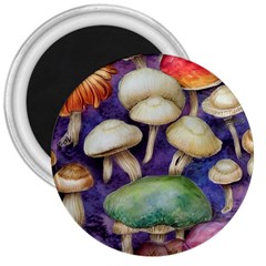 A Fantasy 3  Magnets by GardenOfOphir