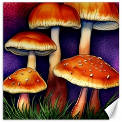 Nature s Woodsy Mushrooms Canvas 12  X 12  by GardenOfOphir