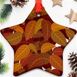 Watercolor Leaves Leaf Orange Star Ornament (Two Sides) Back