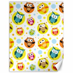 Owl Bird Cartoon Canvas 12  X 16 