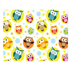 Owl Bird Cartoon Premium Plush Fleece Blanket (large)