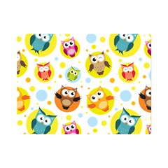 Owl Bird Cartoon One Side Premium Plush Fleece Blanket (mini) by Jancukart