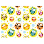 Owl Bird Cartoon Premium Plush Fleece Blanket (Extra Small) 40 x30  Blanket Front