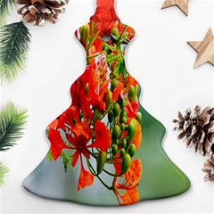 Gathering Sping Flowers  Christmas Tree Ornament (two Sides) by artworkshop