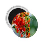 Gathering Sping Flowers  2.25  Magnets Front