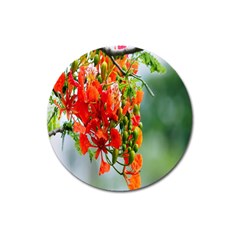 Gathering Sping Flowers  Magnet 3  (round) by artworkshop