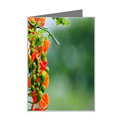 Gathering Sping Flowers  Mini Greeting Card