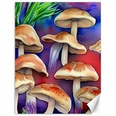 Mushroom Canvas 12  X 16  by GardenOfOphir