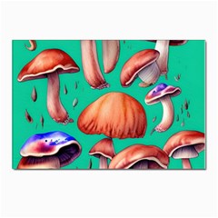 Mushroom Forest Postcard 4 x 6  (pkg Of 10) by GardenOfOphir