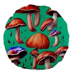 Mushroom Forest Large 18  Premium Flano Round Cushions Front