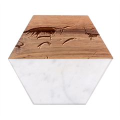 Historical Mushroom Forest Marble Wood Coaster (hexagon) 