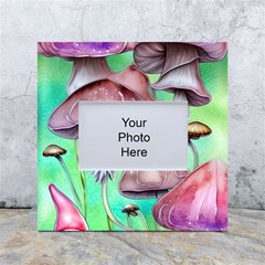 Historical Mushroom Forest White Box Photo Frame 4  X 6 