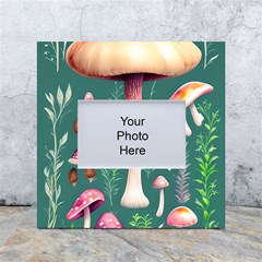 Tiny Historical Mushroom White Box Photo Frame 4  X 6 