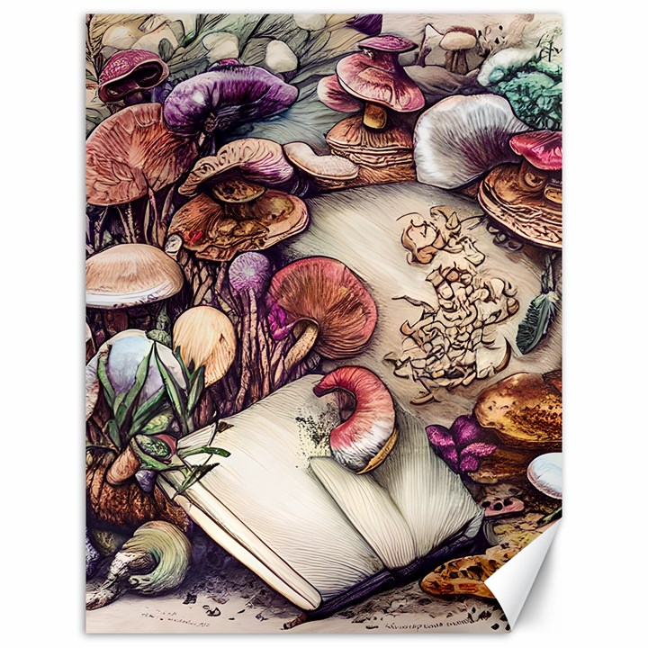 Dainty Mushroom Pendant Canvas 12  x 16 