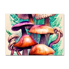 Witchy Mushrooms In The Woods Sticker A4 (100 Pack) by GardenOfOphir