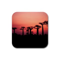 Baobabs Trees Silhouette Landscape Sunset Dusk Rubber Square Coaster (4 Pack) by Jancukart