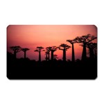 Baobabs Trees Silhouette Landscape Sunset Dusk Magnet (Rectangular) Front