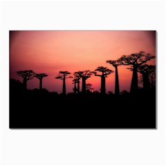 Baobabs Trees Silhouette Landscape Sunset Dusk Postcards 5  X 7  (pkg Of 10) by Jancukart