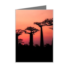 Baobabs Trees Silhouette Landscape Sunset Dusk Mini Greeting Card