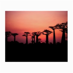 Baobabs Trees Silhouette Landscape Sunset Dusk Small Glasses Cloth