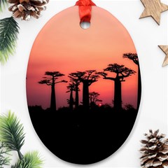 Baobabs Trees Silhouette Landscape Sunset Dusk Oval Ornament (two Sides) by Jancukart