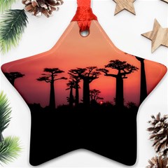 Baobabs Trees Silhouette Landscape Sunset Dusk Star Ornament (two Sides)