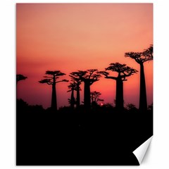 Baobabs Trees Silhouette Landscape Sunset Dusk Canvas 8  X 10 