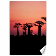 Baobabs Trees Silhouette Landscape Sunset Dusk Canvas 12  X 18 