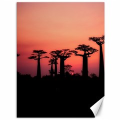 Baobabs Trees Silhouette Landscape Sunset Dusk Canvas 36  X 48  by Jancukart