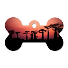 Baobabs Trees Silhouette Landscape Sunset Dusk Dog Tag Bone (two Sides)