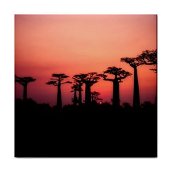 Baobabs Trees Silhouette Landscape Sunset Dusk Face Towel