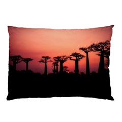 Baobabs Trees Silhouette Landscape Sunset Dusk Pillow Case