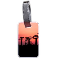 Baobabs Trees Silhouette Landscape Sunset Dusk Luggage Tag (two Sides)