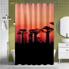 Baobabs Trees Silhouette Landscape Sunset Dusk Shower Curtain 48  X 72  (small)  by Jancukart