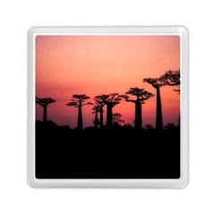 Baobabs Trees Silhouette Landscape Sunset Dusk Memory Card Reader (square) by Jancukart