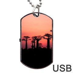 Baobabs Trees Silhouette Landscape Sunset Dusk Dog Tag Usb Flash (one Side)