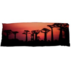 Baobabs Trees Silhouette Landscape Sunset Dusk Body Pillow Case (dakimakura)