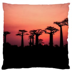 Baobabs Trees Silhouette Landscape Sunset Dusk Large Cushion Case (two Sides)