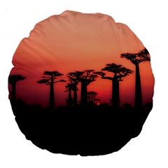 Baobabs Trees Silhouette Landscape Sunset Dusk Large 18  Premium Round Cushions by Jancukart