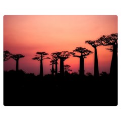 Baobabs Trees Silhouette Landscape Sunset Dusk Premium Plush Fleece Blanket (medium)