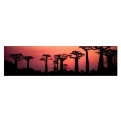 Baobabs Trees Silhouette Landscape Sunset Dusk Oblong Satin Scarf (16  X 60 )