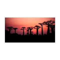 Baobabs Trees Silhouette Landscape Sunset Dusk Yoga Headband by Jancukart