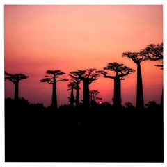 Baobabs Trees Silhouette Landscape Sunset Dusk Wooden Puzzle Square by Jancukart