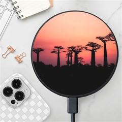 Baobabs Trees Silhouette Landscape Sunset Dusk Wireless Fast Charger(black) by Jancukart