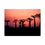 Baobabs Trees Silhouette Landscape Sunset Dusk One Side Premium Plush Fleece Blanket (Mini) 35 x27  Blanket Front