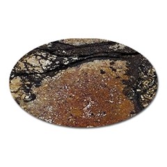 Rustic Charm Abstract Print Oval Magnet by dflcprintsclothing