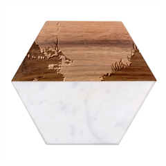 Ai Generated River Forest Woods Outdoors Marble Wood Coaster (hexagon)  by Pakemis